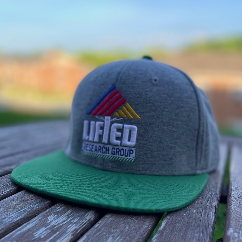LRG snap back NWOT